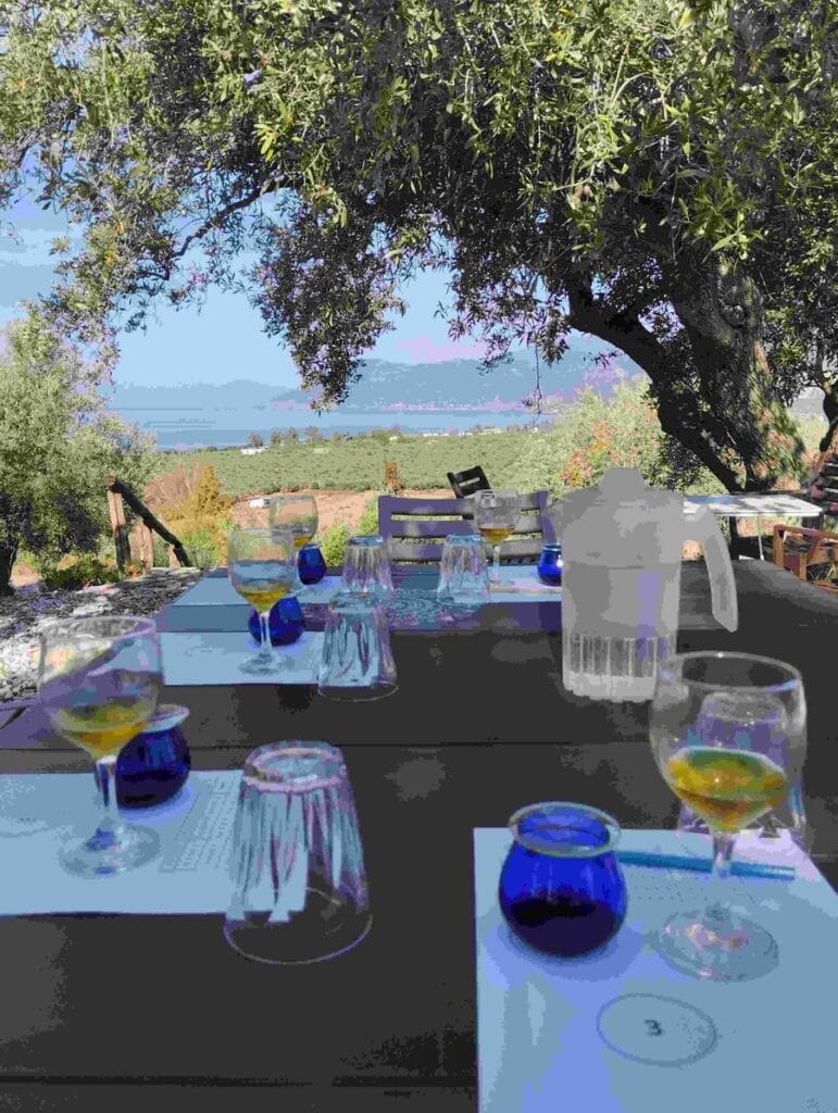 1694866298945 (1).jpg